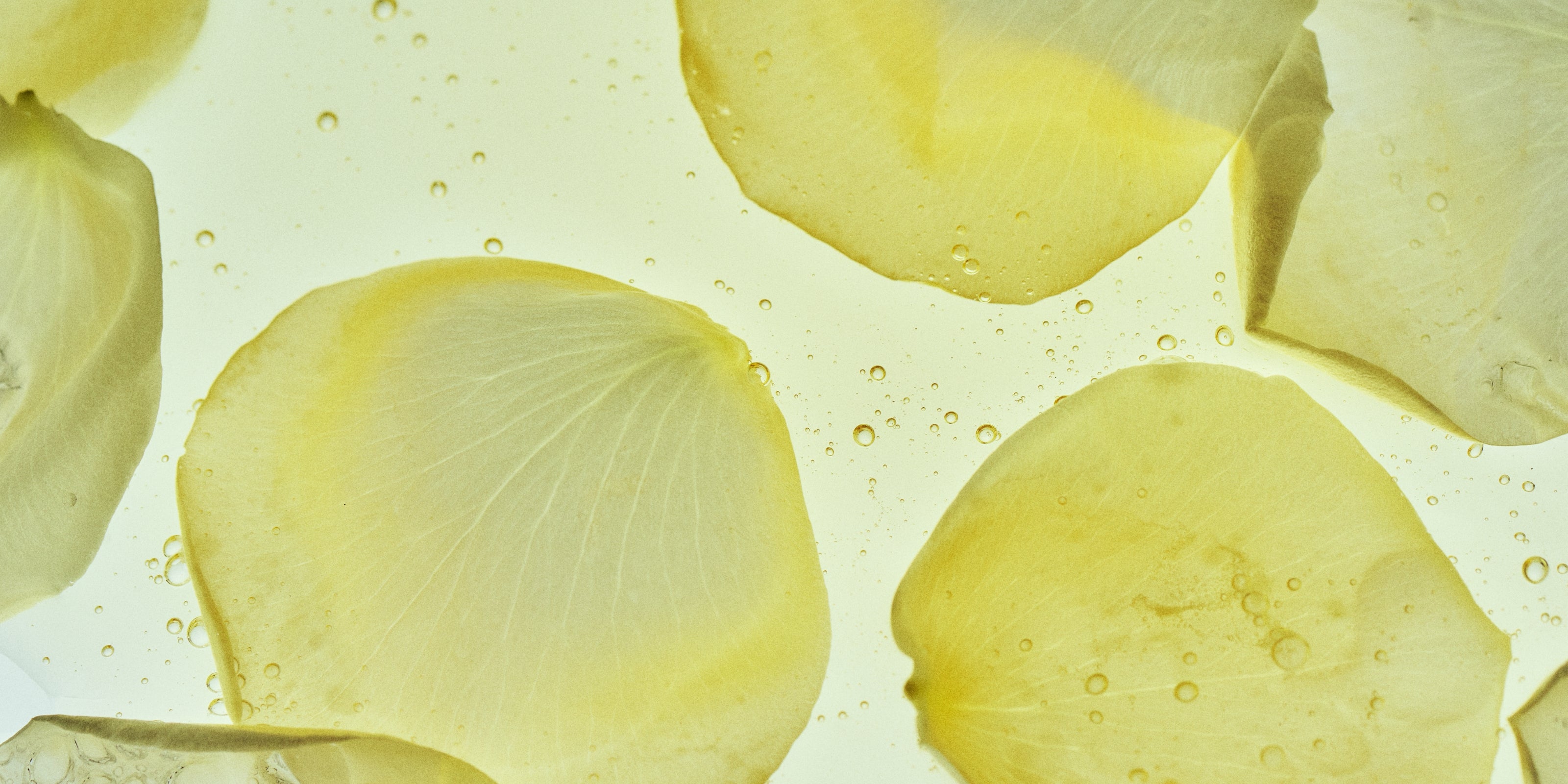 Skin Longevity, Inhaltsstoff Rose, HEJ ORGANIC