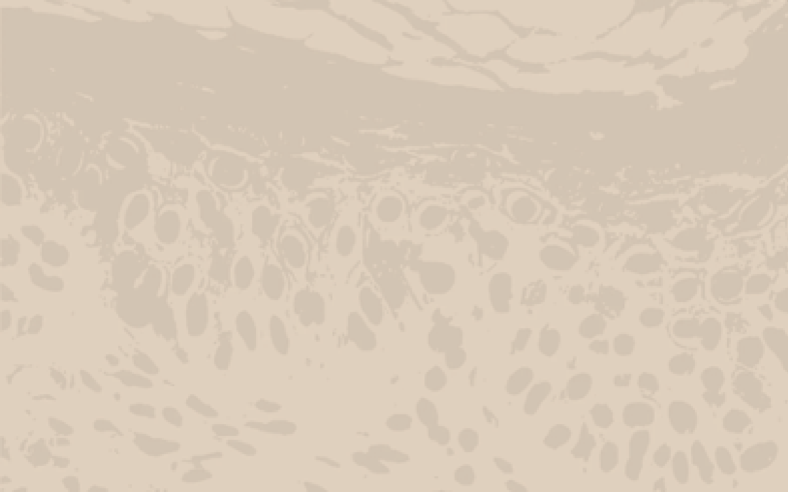 Hautdiagnose, HEJ ORGANIC