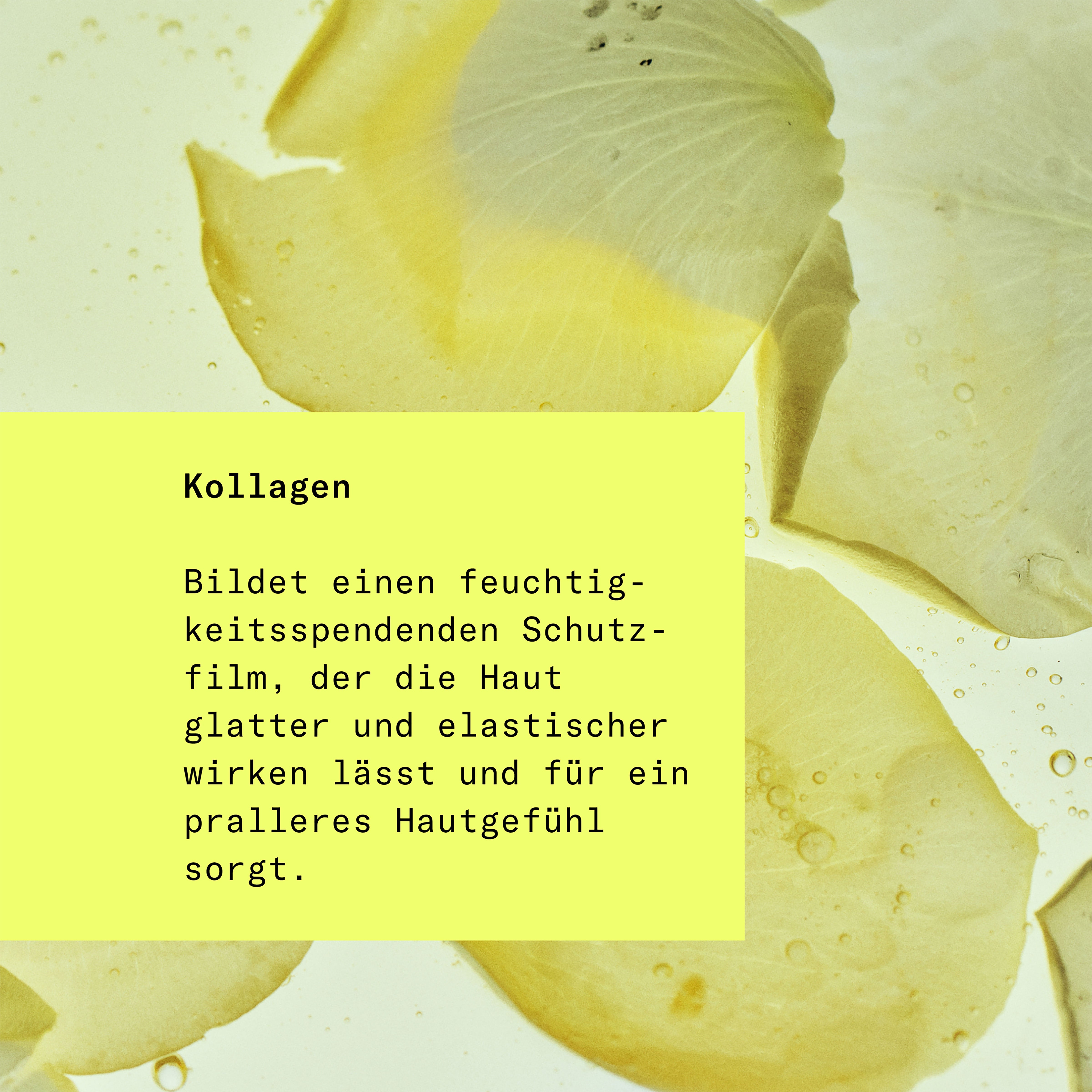 Skin Longevity, Kollagen Textur, HEJ ORGANIC