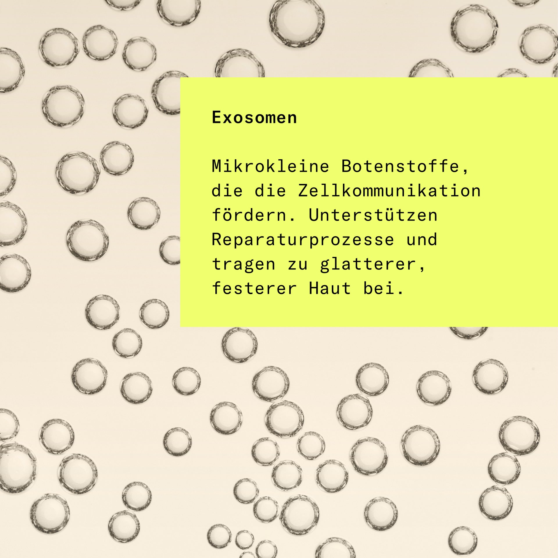 Skin Longevity, Retinal Textur, HEJ ORGANIC