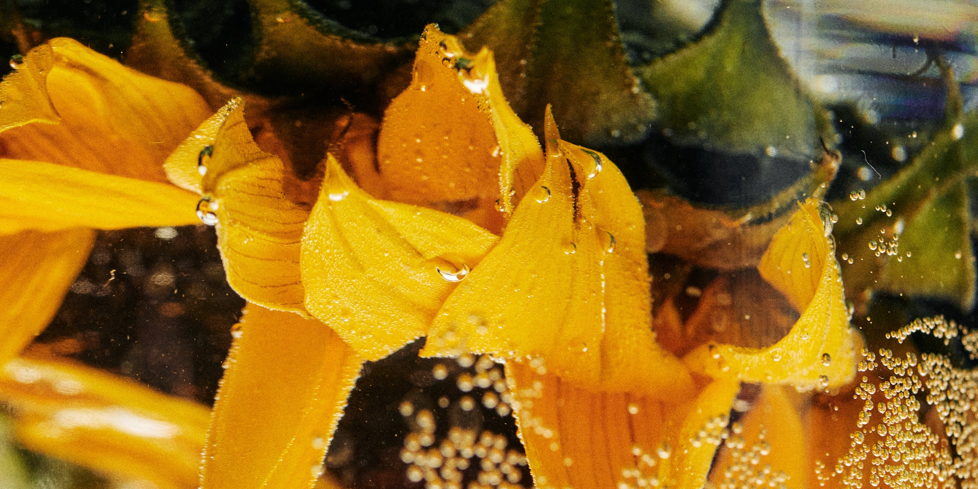 Skin Longevity, Inhaltsstoff NAD+ Booster Produktbilder, HEJ ORGANIC