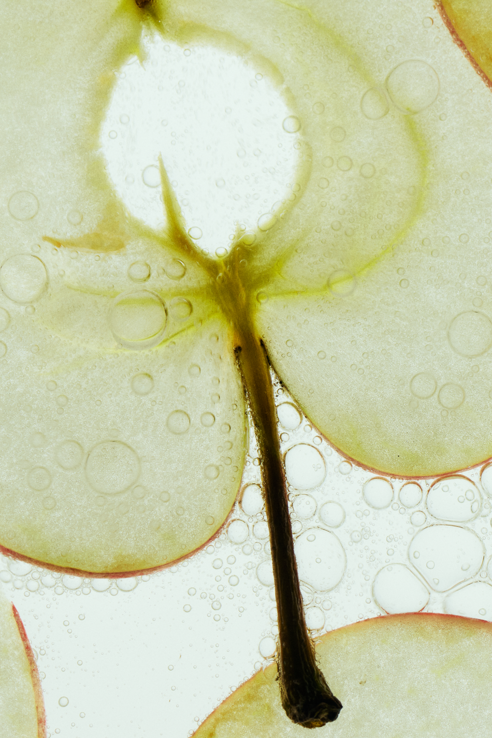 Skin Longevity, Inhaltsstoff Apfel, HEJ ORGANIC