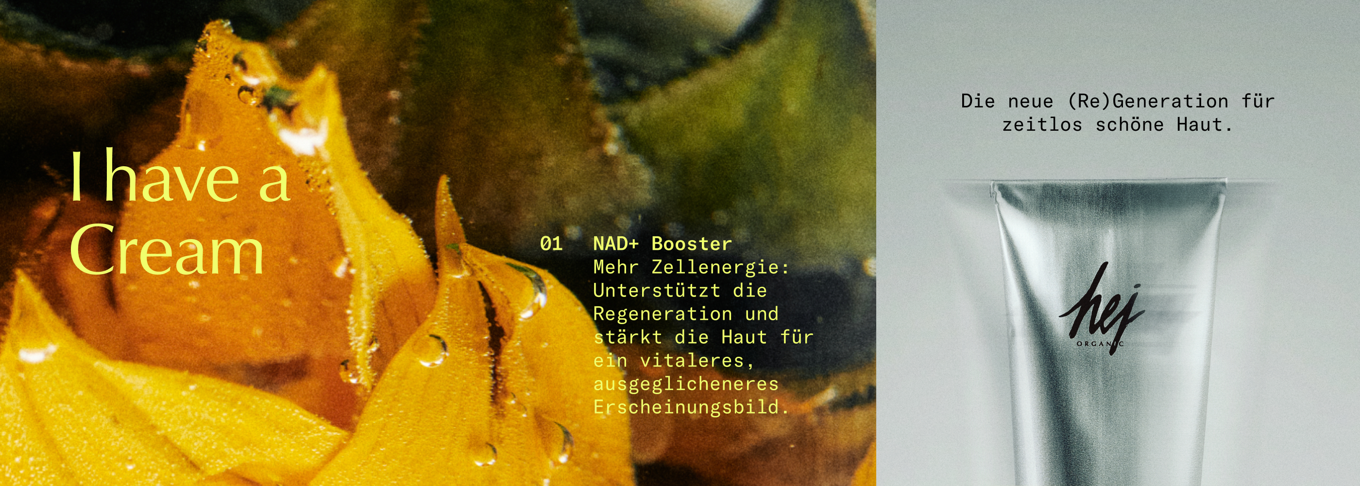 Skin Longevity, Banner Inhaltsstoff NAD+ Face Cream, HEJ ORGANIC