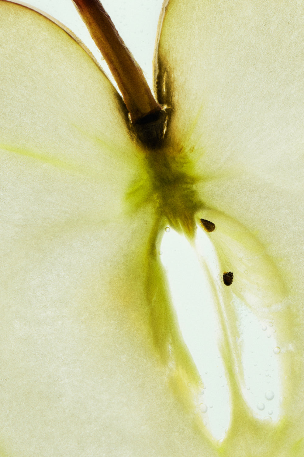 Skin Longevity, Inhaltsstoff Apfel, HEJ ORGANIC