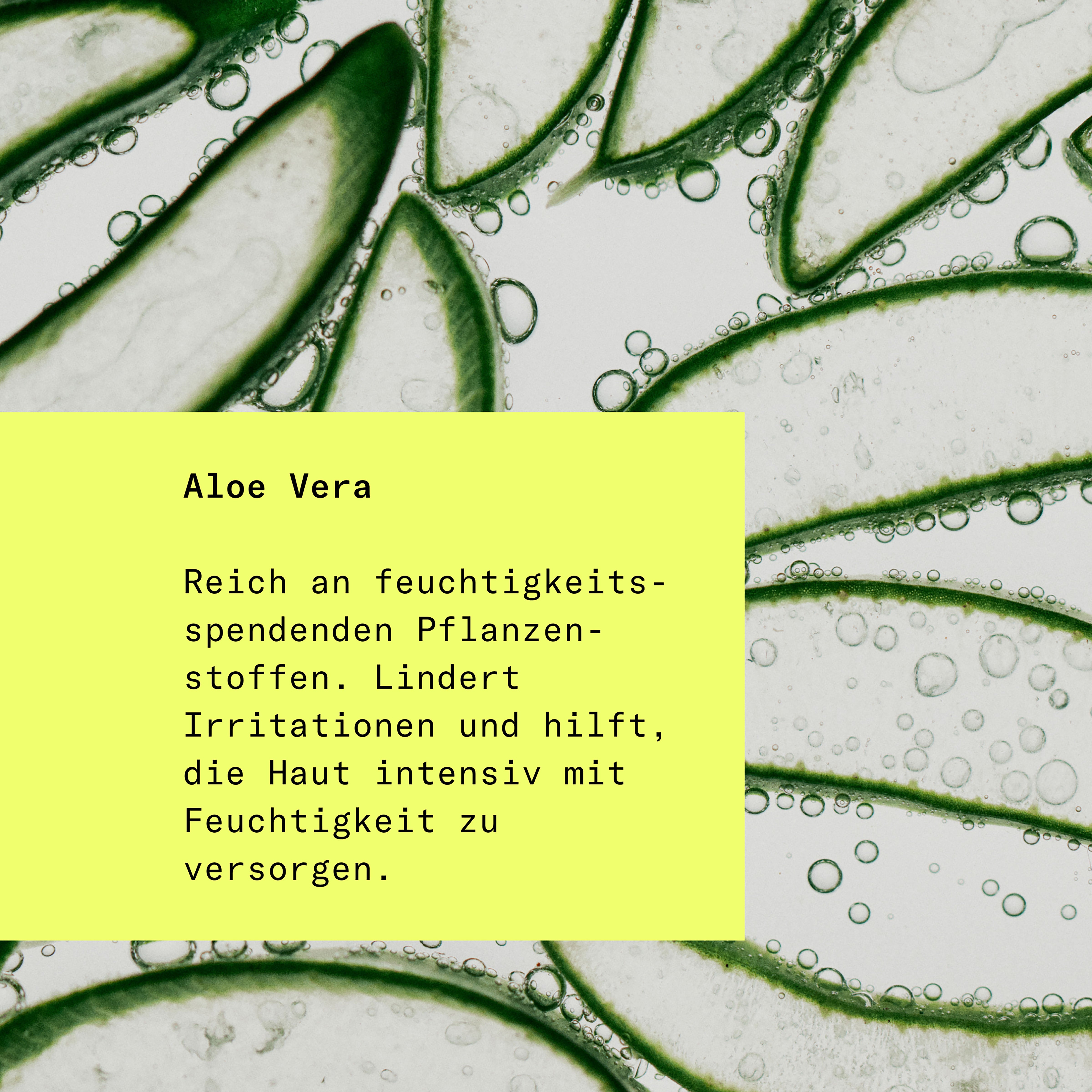 Skin Longevity, Aloe Vera, HEJ ORGANIC