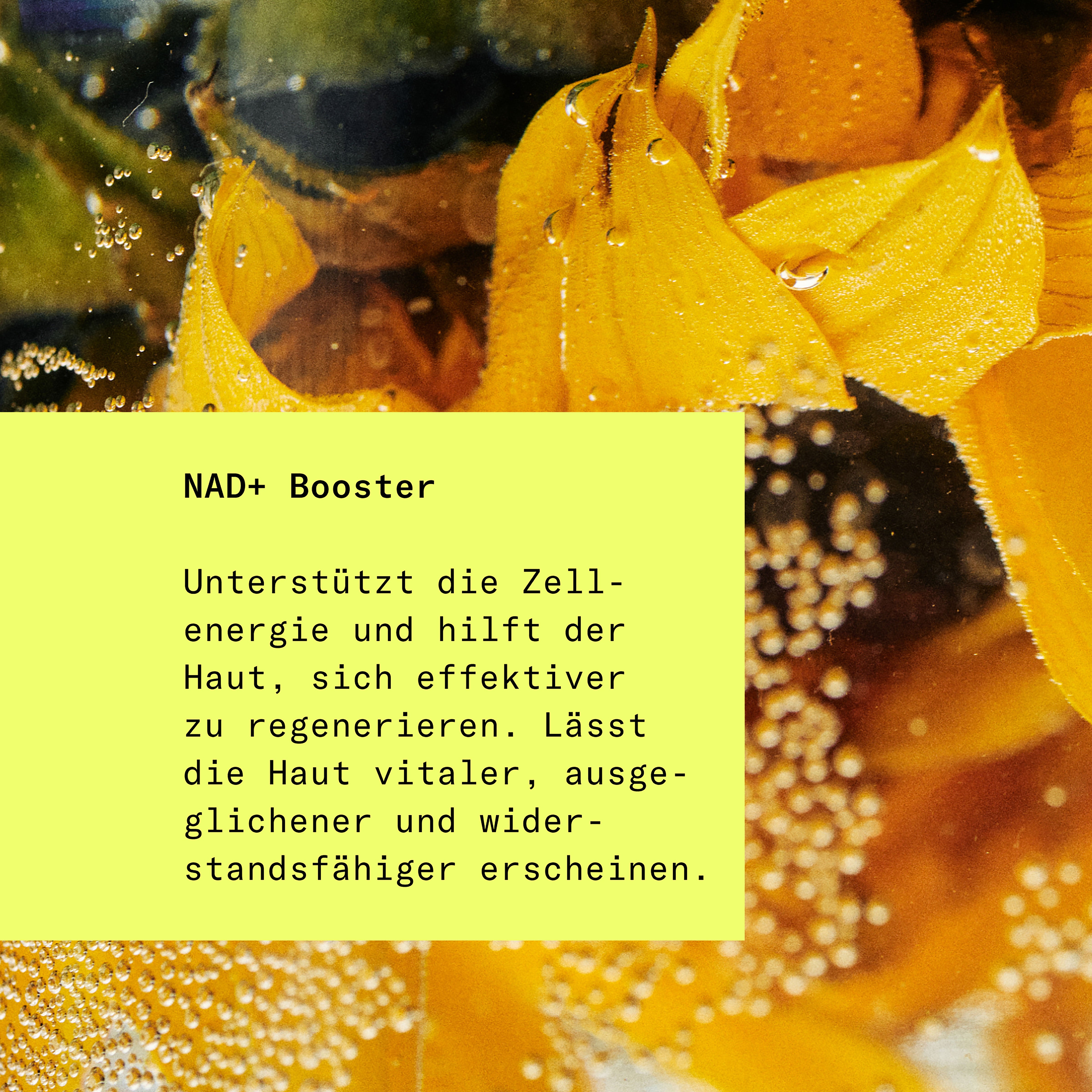 Skin Longevity, NAD+ Booster Textur, HEJ ORGANIC